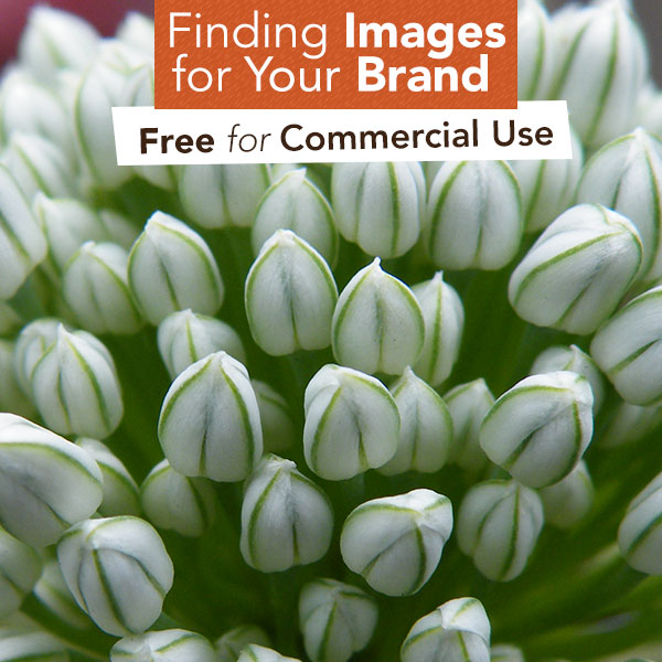 Finding Images for Your Brand: 5 Free for Commercial Use ...