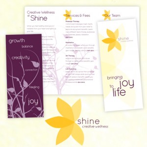 Shine Logo and Brochure