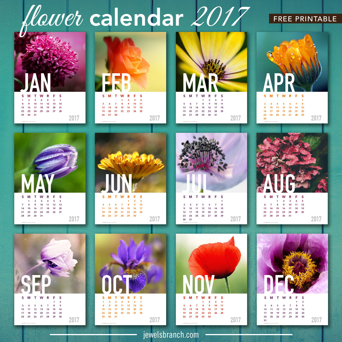 2017 Calendar Printable - Jewels Branch